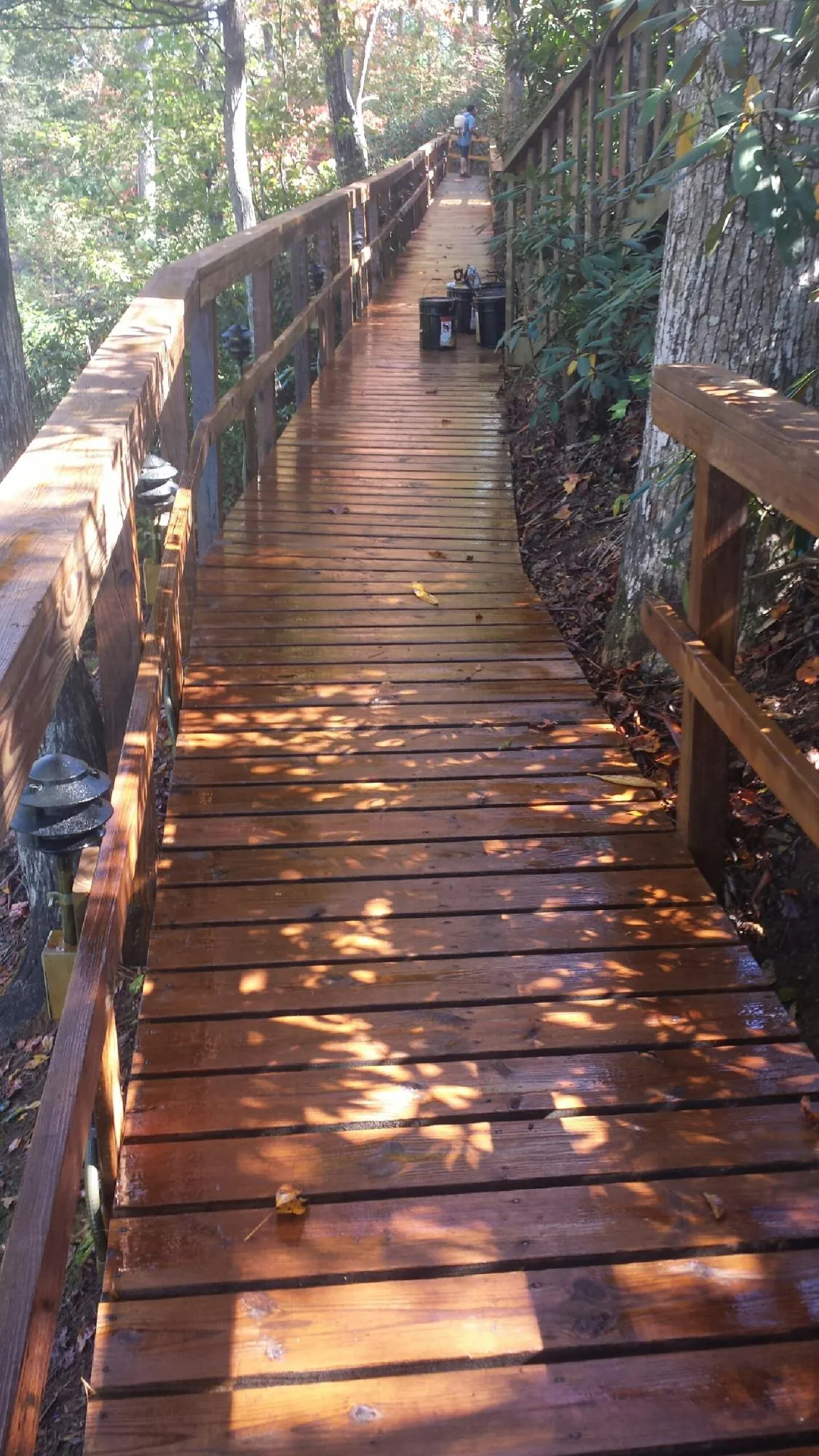 Freshly stained wood walkway winding through the woods in Carney